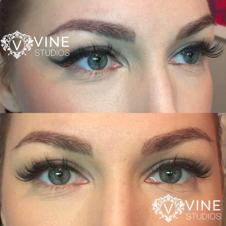 Microblade vs. Powder / Solid Brows Vine Studios